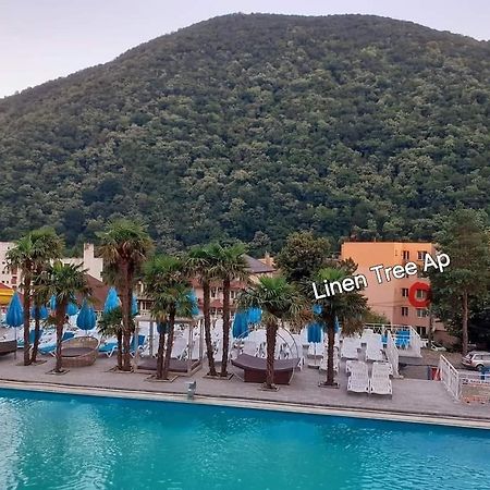 Linen Tree Apartment Băile Herculane エクステリア 写真
