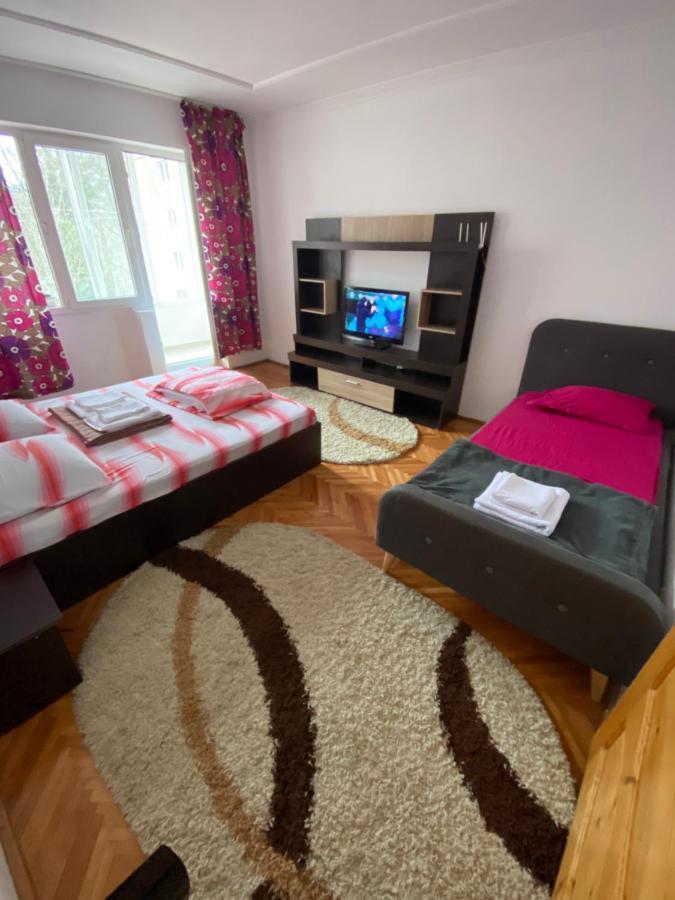 Linen Tree Apartment Băile Herculane エクステリア 写真