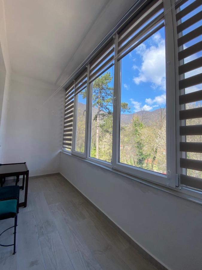 Linen Tree Apartment Băile Herculane エクステリア 写真