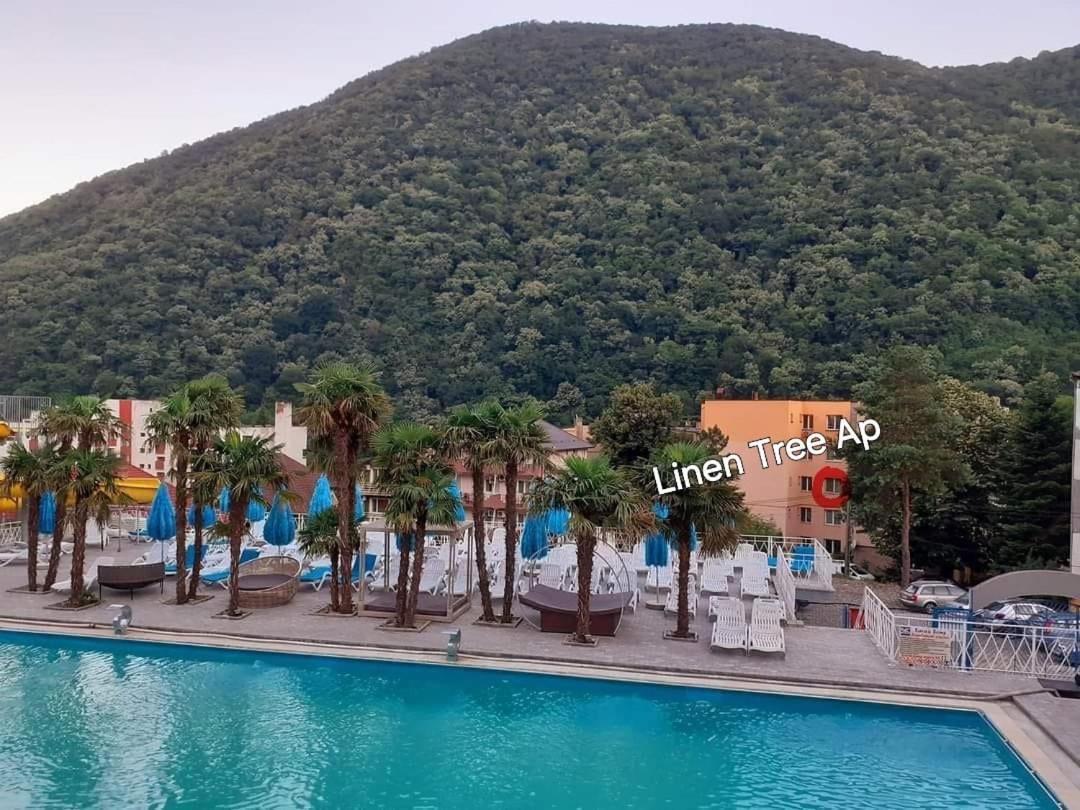 Linen Tree Apartment Băile Herculane エクステリア 写真